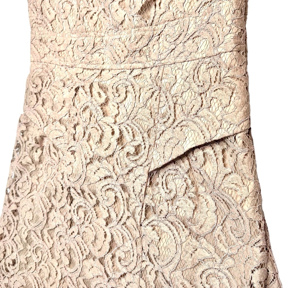 Adrianna Papell Lace Cocktail Dress Blush Beige Romantic Coquette Sleeveless 6 - Picture 5 of 16